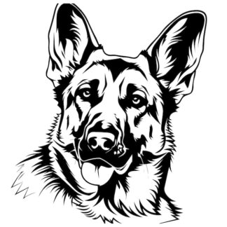Sticker Autocollant chien malinois berger allemand animaux  ANICM40