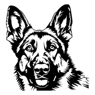 Sticker Autocollant chien malinois berger allemand animaux  ANICM36