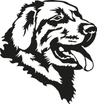 sticker autocollant chien animaux 6 1XTYC