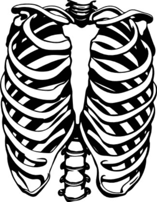 sticker autocollant Squelette skull 4 QM03E