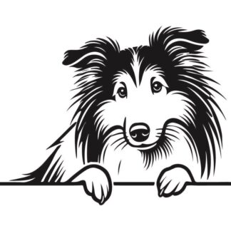 sticker autocollant chien animaux 6 VTRQB