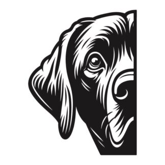 sticker autocollant chien animaux 1 LFLPE