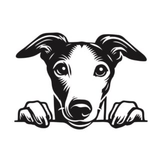 sticker autocollant chien animaux 7 R4SXQ