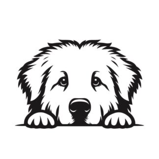 sticker autocollant Chien animaux 4 HKFV0