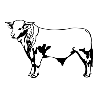 sticker autocollant taureau vache animaux 7 U8OLN