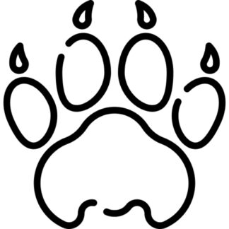 sticker autocollant Lion animaux 5 OTXAW