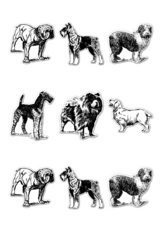 Gommettes planche 10x15cm chien 7DXIP