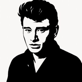 Sticker autocollant Johnny Halliday jeune décoration decostickerstore - HSZDEM