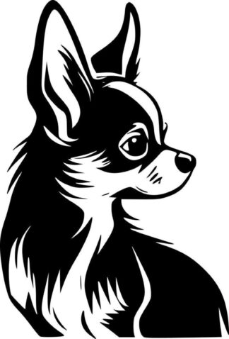 sticker autocollant animaux chien chihuahua BTEF2