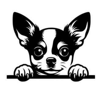 sticker autocollant animaux chien chihuahua 5M6AM
