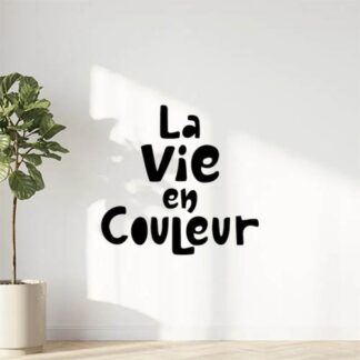 Sticker Autocollant la_vie_en_couleur citation  CI015
