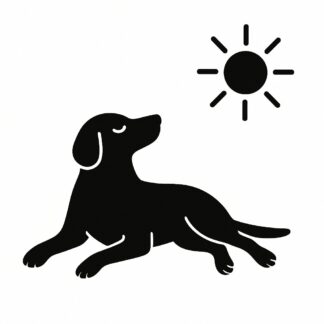 Sticker autocollant chien prenant le soleil décoration decostickerstore - EMDGIV