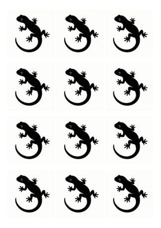 sticker autocollant salamandre margouilla lézard lot de 12 VPJ63