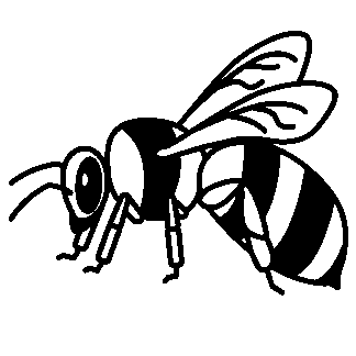 sticker autocollant abeille insecte 38IVZ