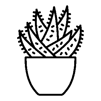 sticker autocollant cactus plante fleur YMXU5