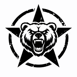 sticker autocollant 4x4 jeep etoile us army ours O2SCA