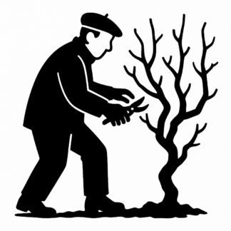 Sticker autocollant ENCORE UN AUTRE DIFFERENT tailleur de rang de ceps de vigne AVEC UN BERET BASQUE en hiver décoration decostickerstore - VQEB4M