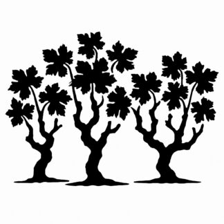 Sticker autocollant PLUSIEURS CEPS DE VIGNE TAILLE EN GOBELET décoration decostickerstore - HZLVHP