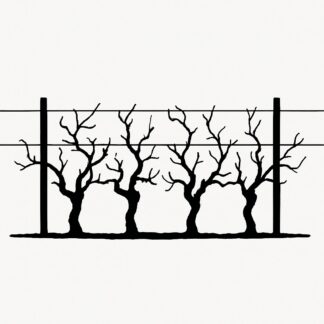 Sticker autocollant rang de CEPS DE VIGNE palisses EN HIVER décoration decostickerstore - GCXGHW