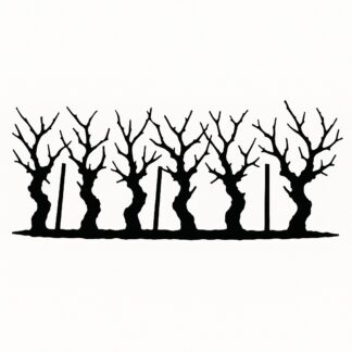 Sticker autocollant une rangée de 6 ceps de vigne en hiver décoration decostickerstore - YDV8SX