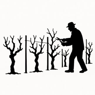 Sticker autocollant une rangée de ceps de vigne en hiver avec un tailleur de vigne décoration decostickerstore - U67JKS