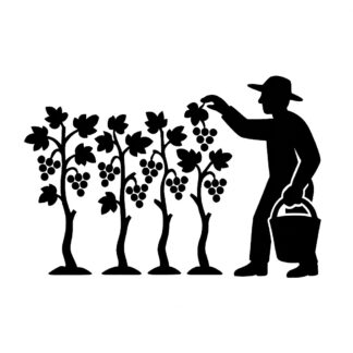 Sticker autocollant vendangeur avec seau rang de 4 ceps de vignes décoration decostickerstore - CRZY1L